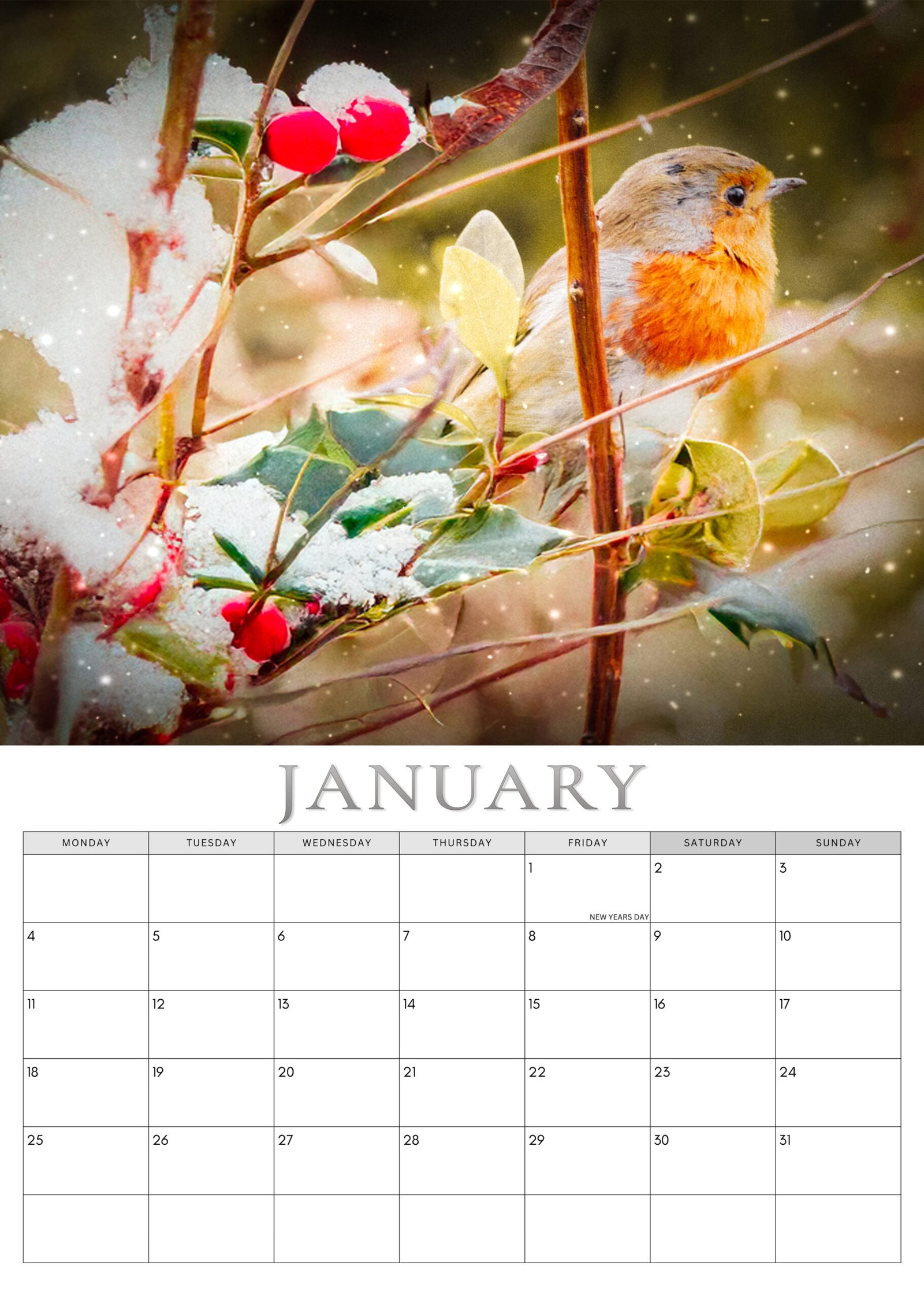 Robin calendar January