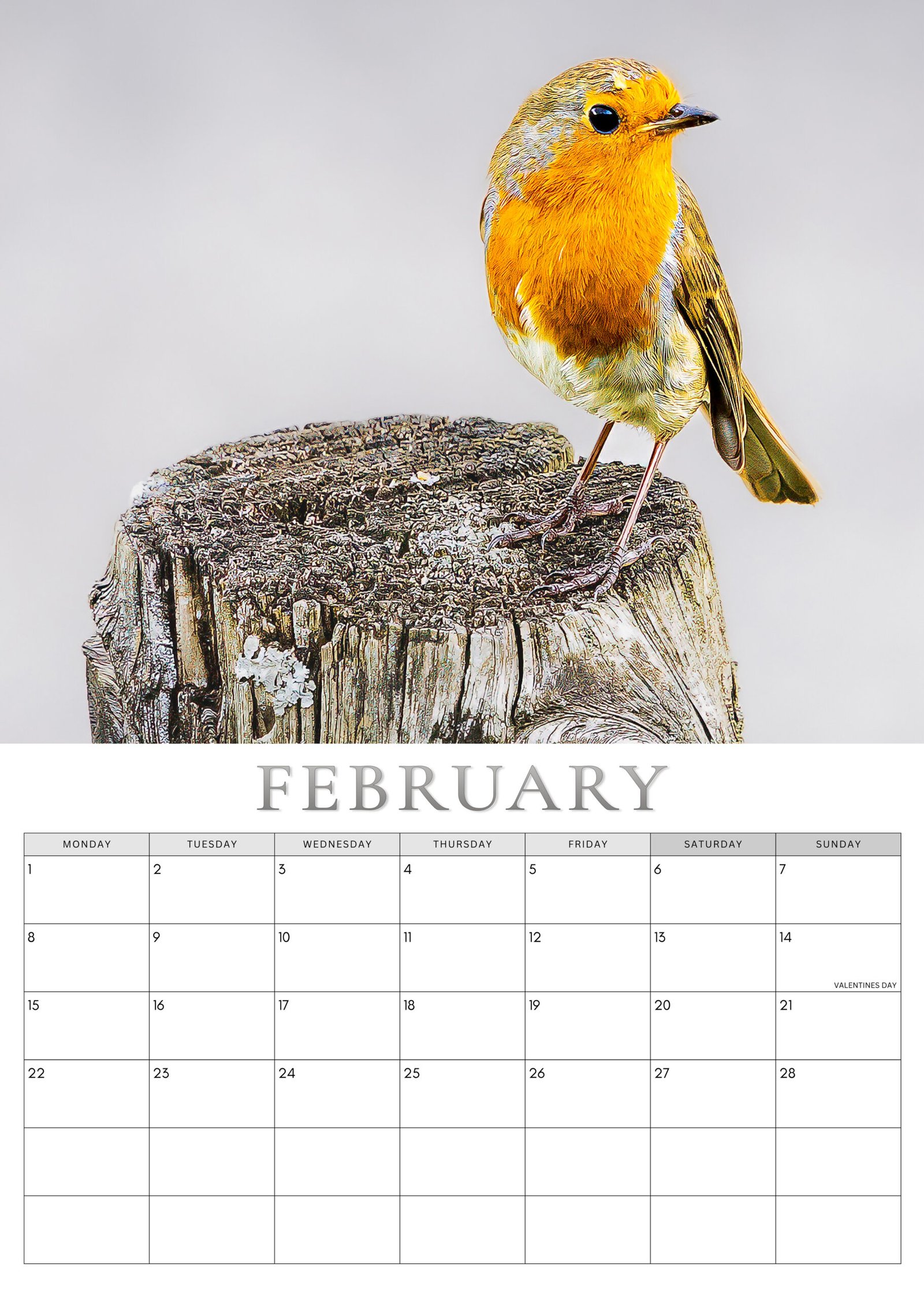 Robin calendar February