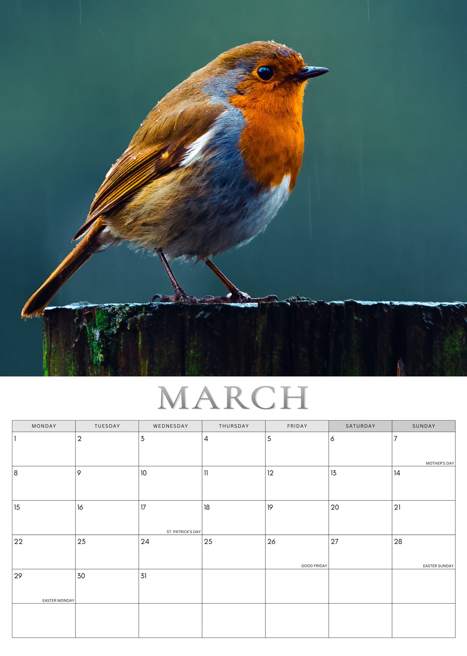 Robin calendar March