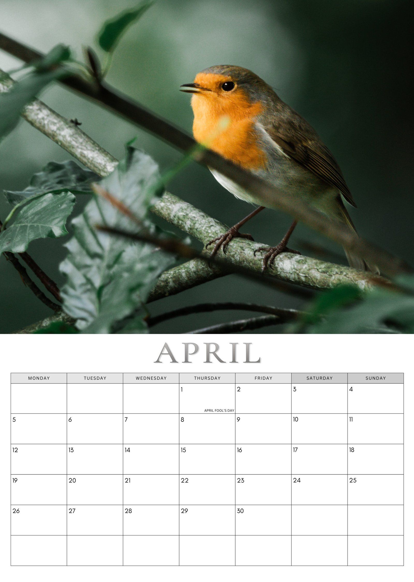 Robin calendar April