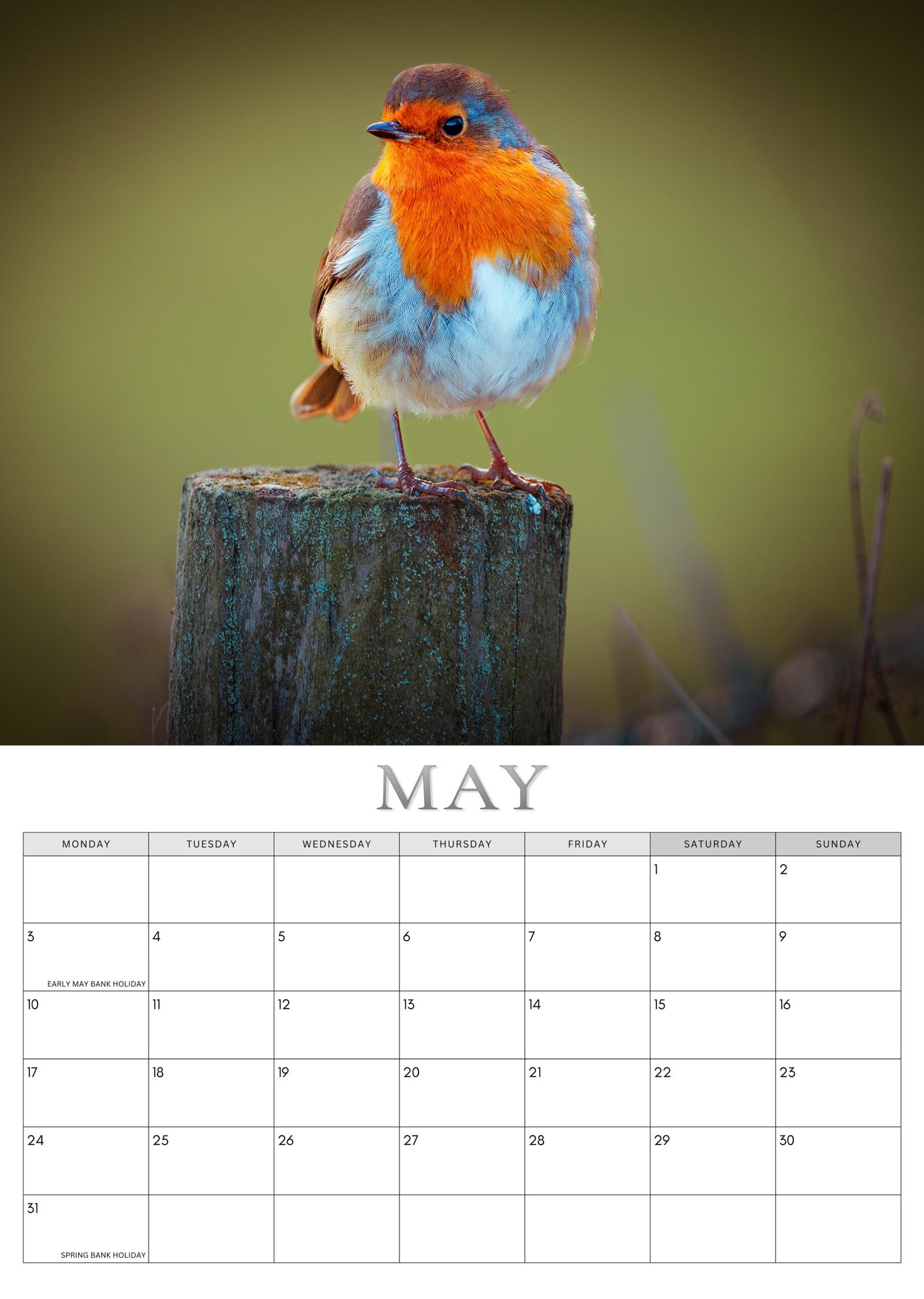 Robin calendar May