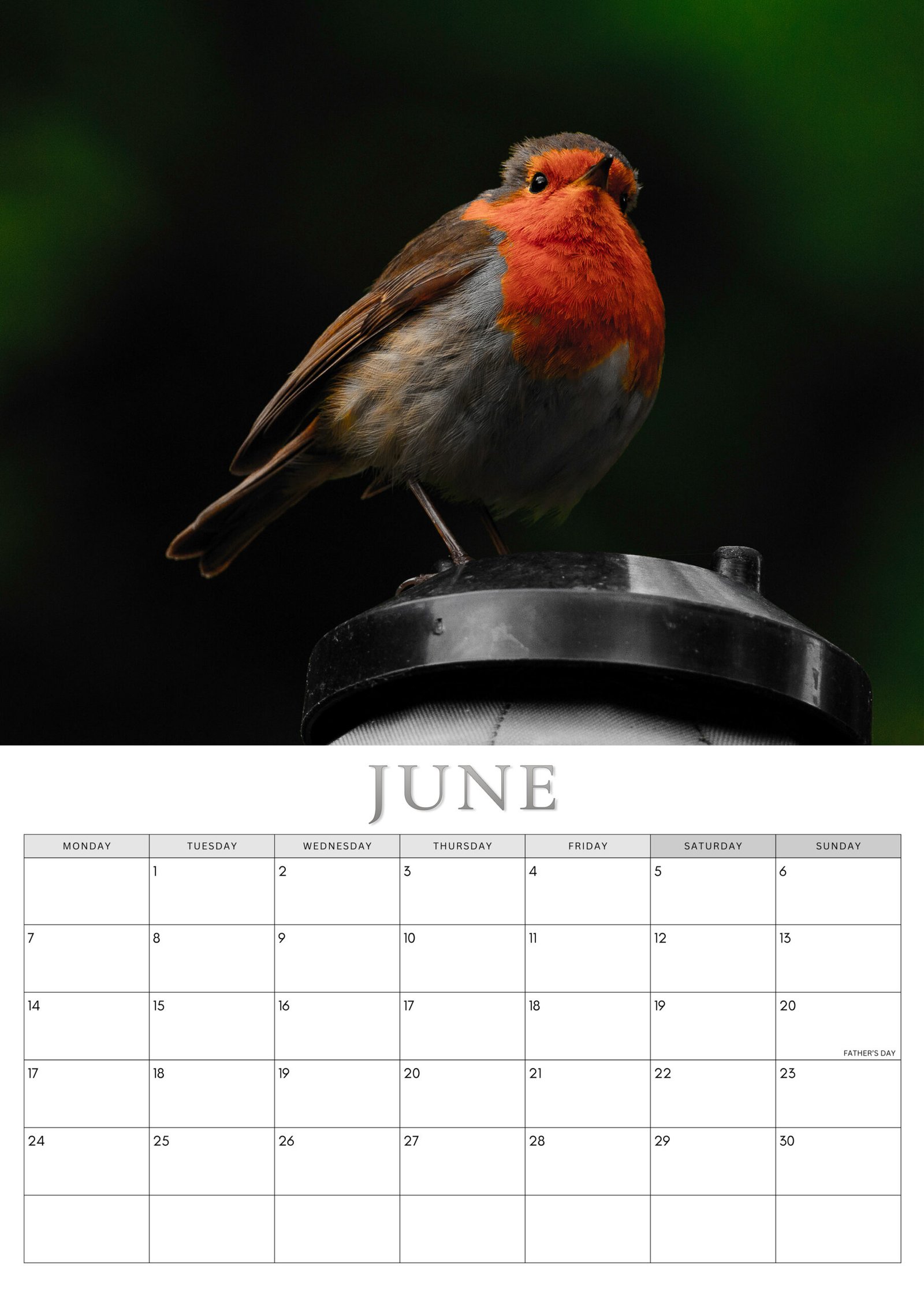 Robin calendar June
