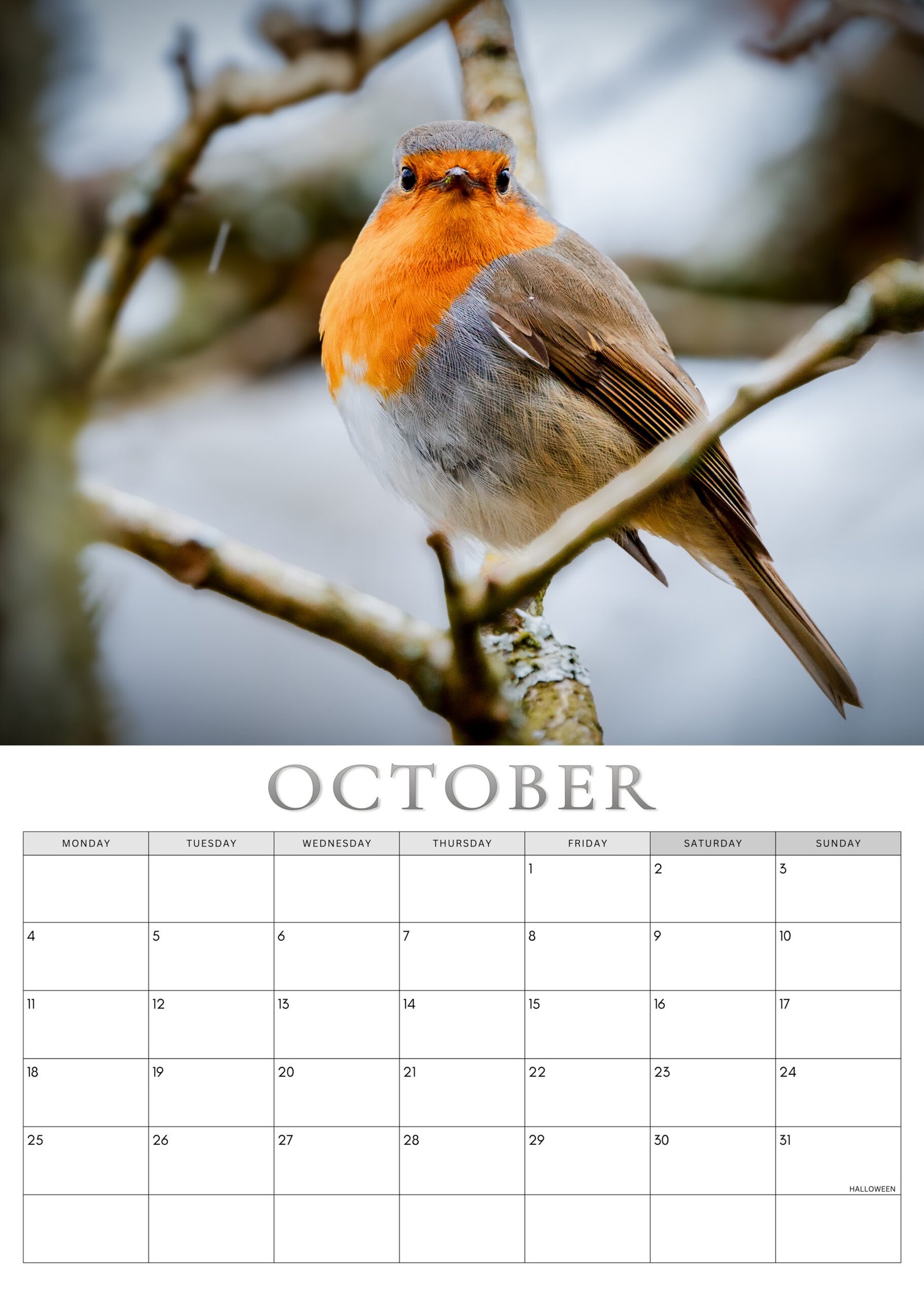 Robin calendar October