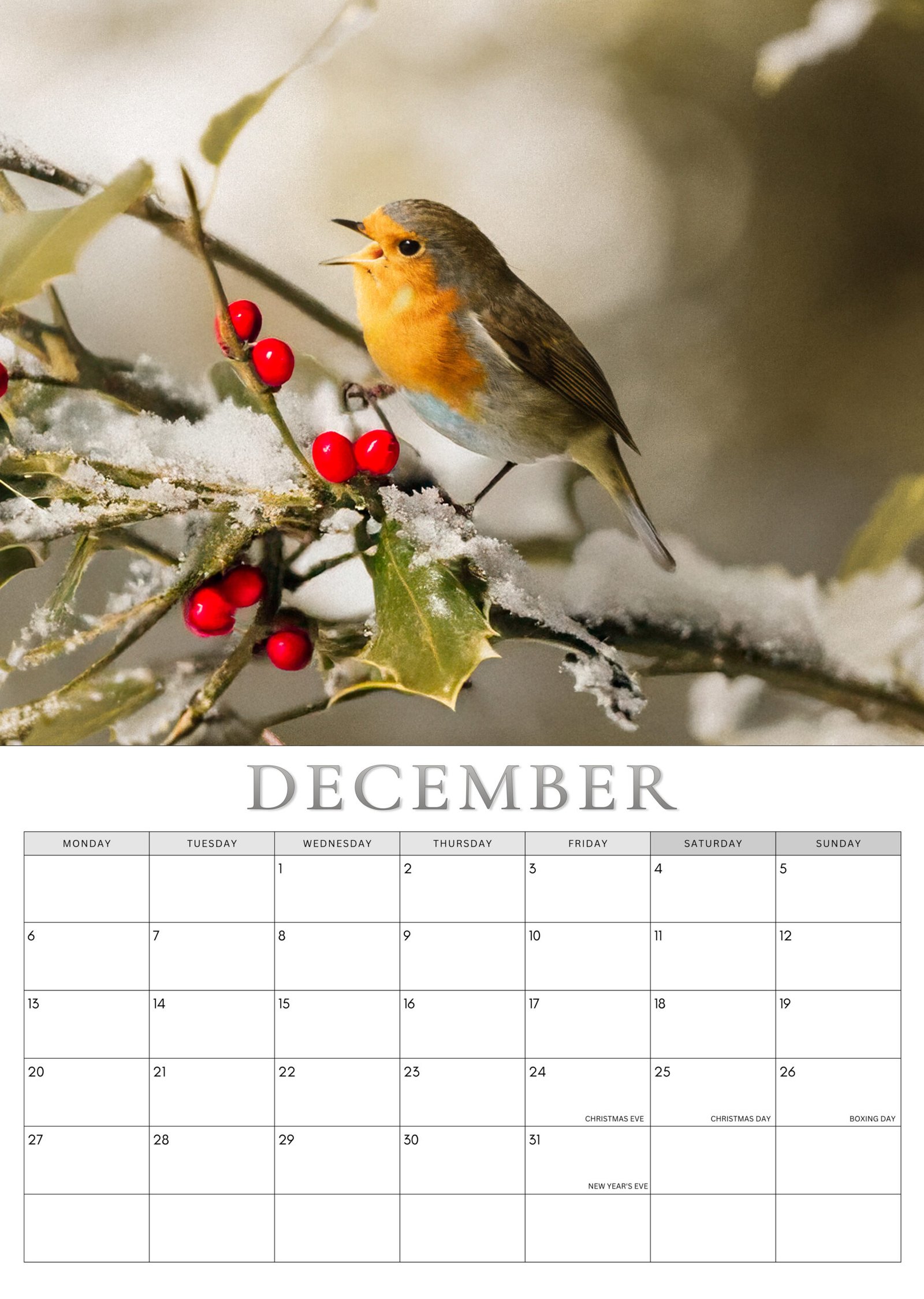 Robin calendar December