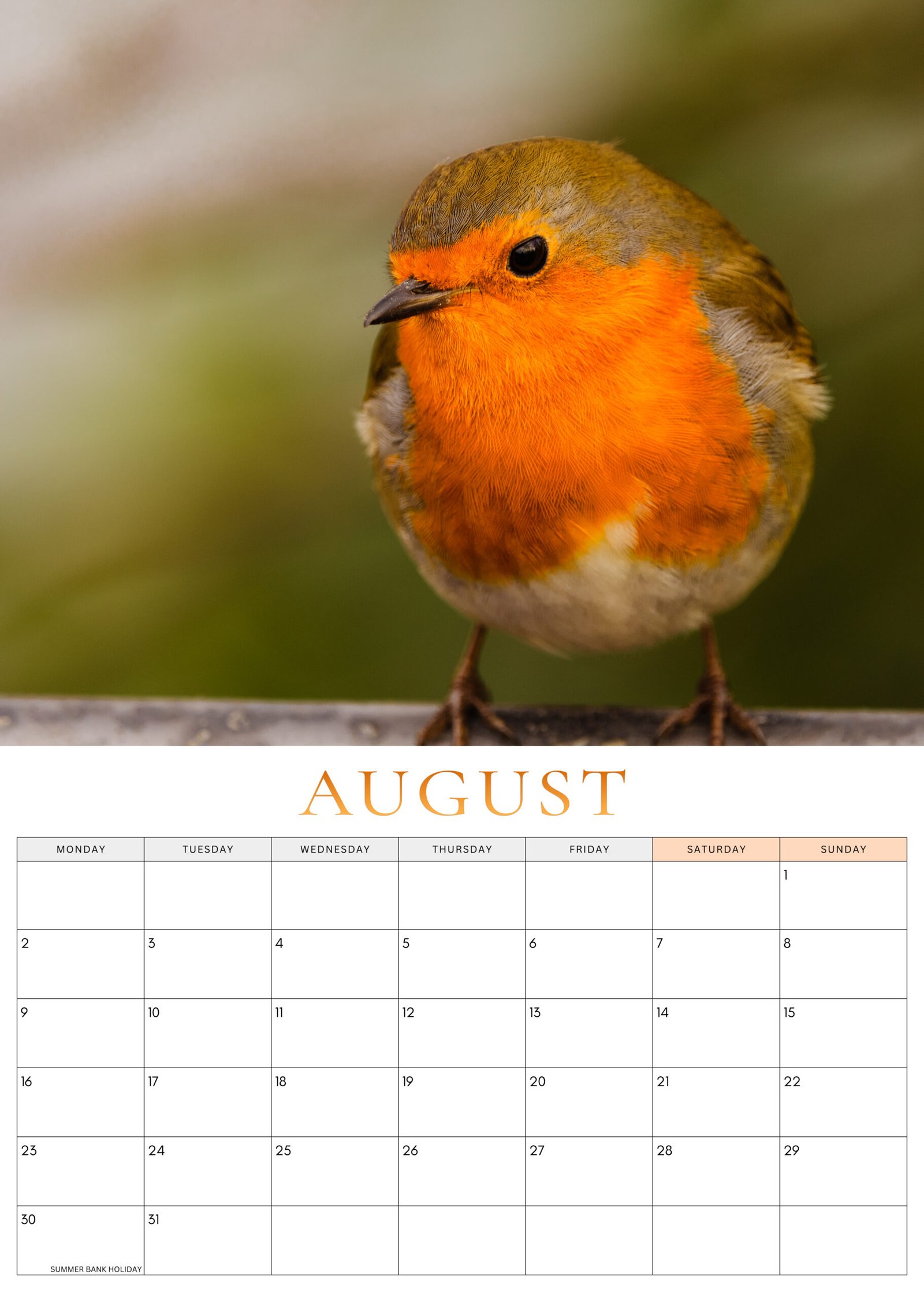 August 2027 Robin Calendar