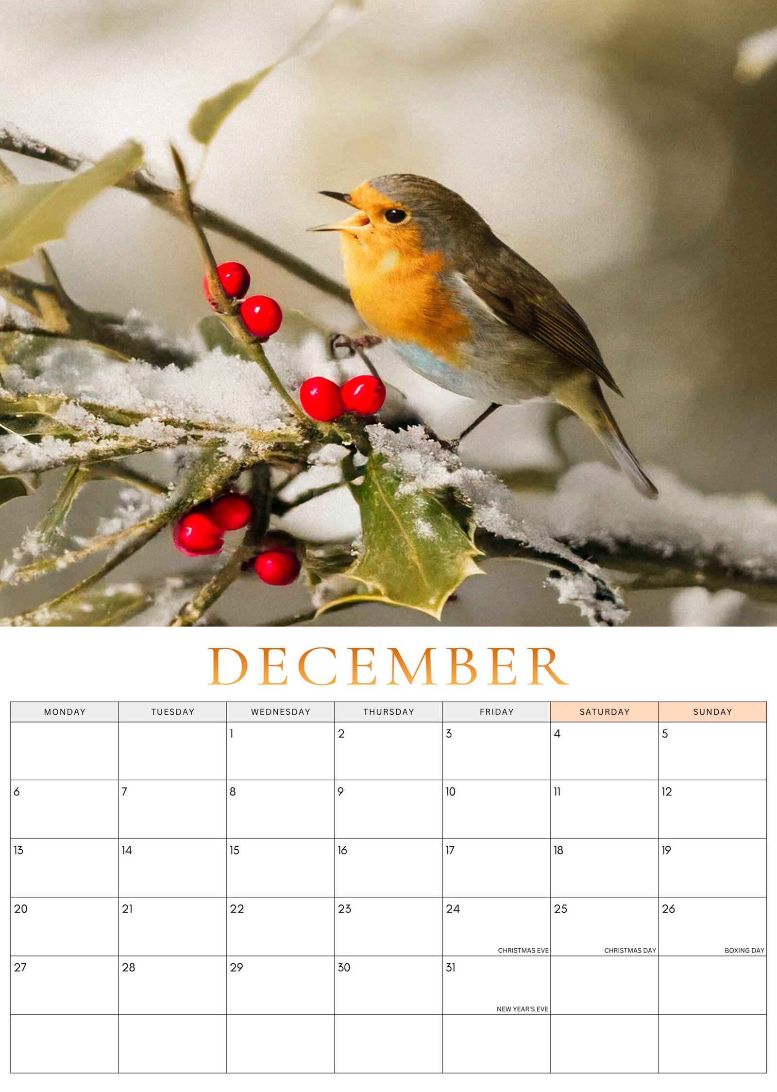 December 2027 Robin Calendar