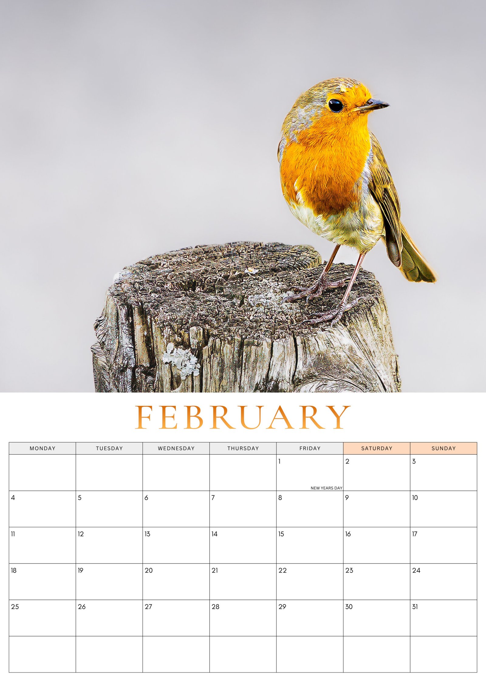 February 2027 Robin Calendar
