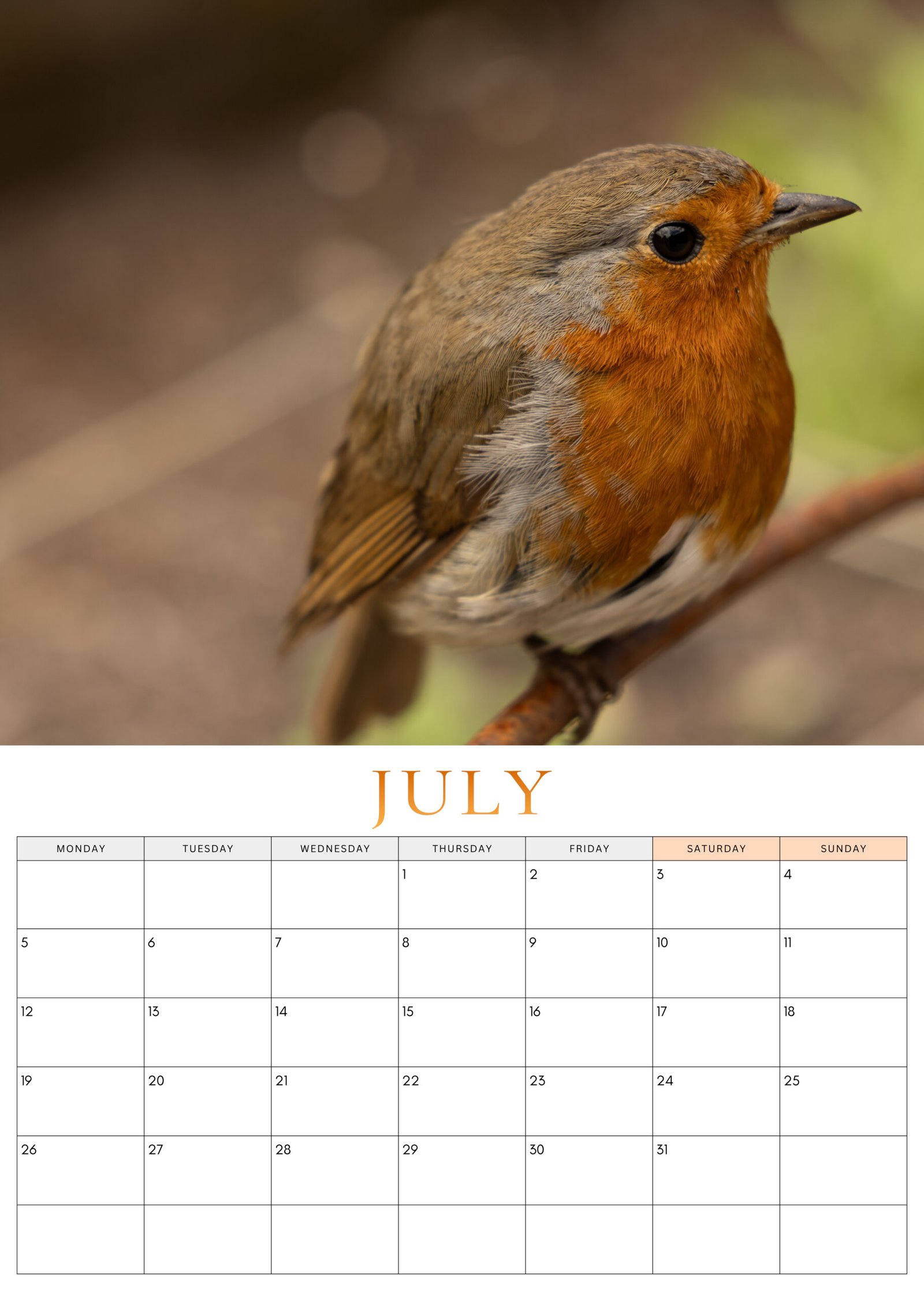 July 2027 Robin Calendar