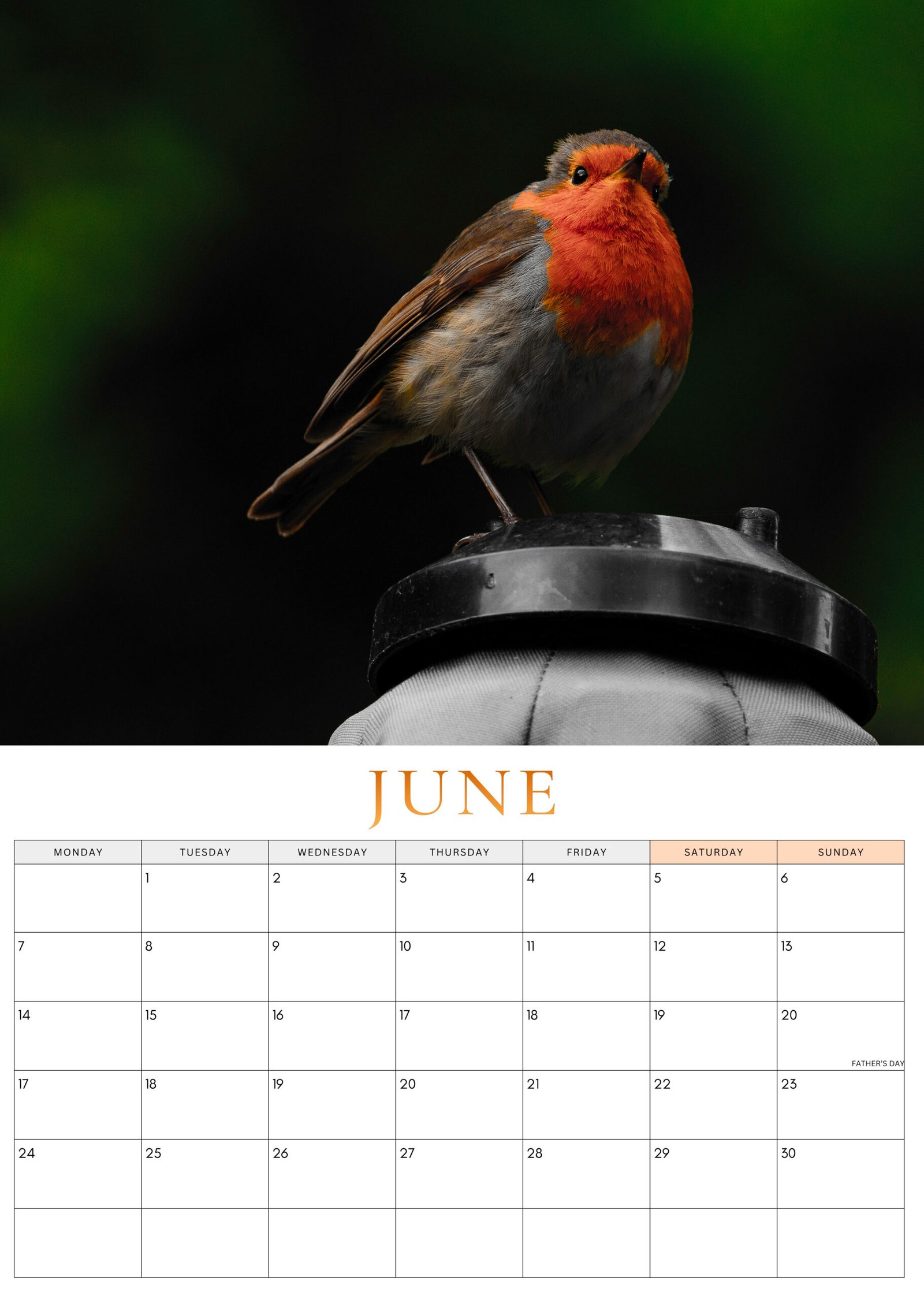 June 2027 Robin Calendar