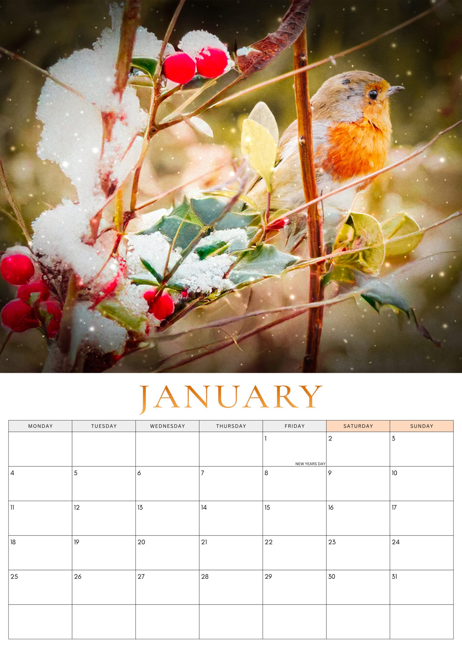 Robin photograph from the 2027 Robin Calendar