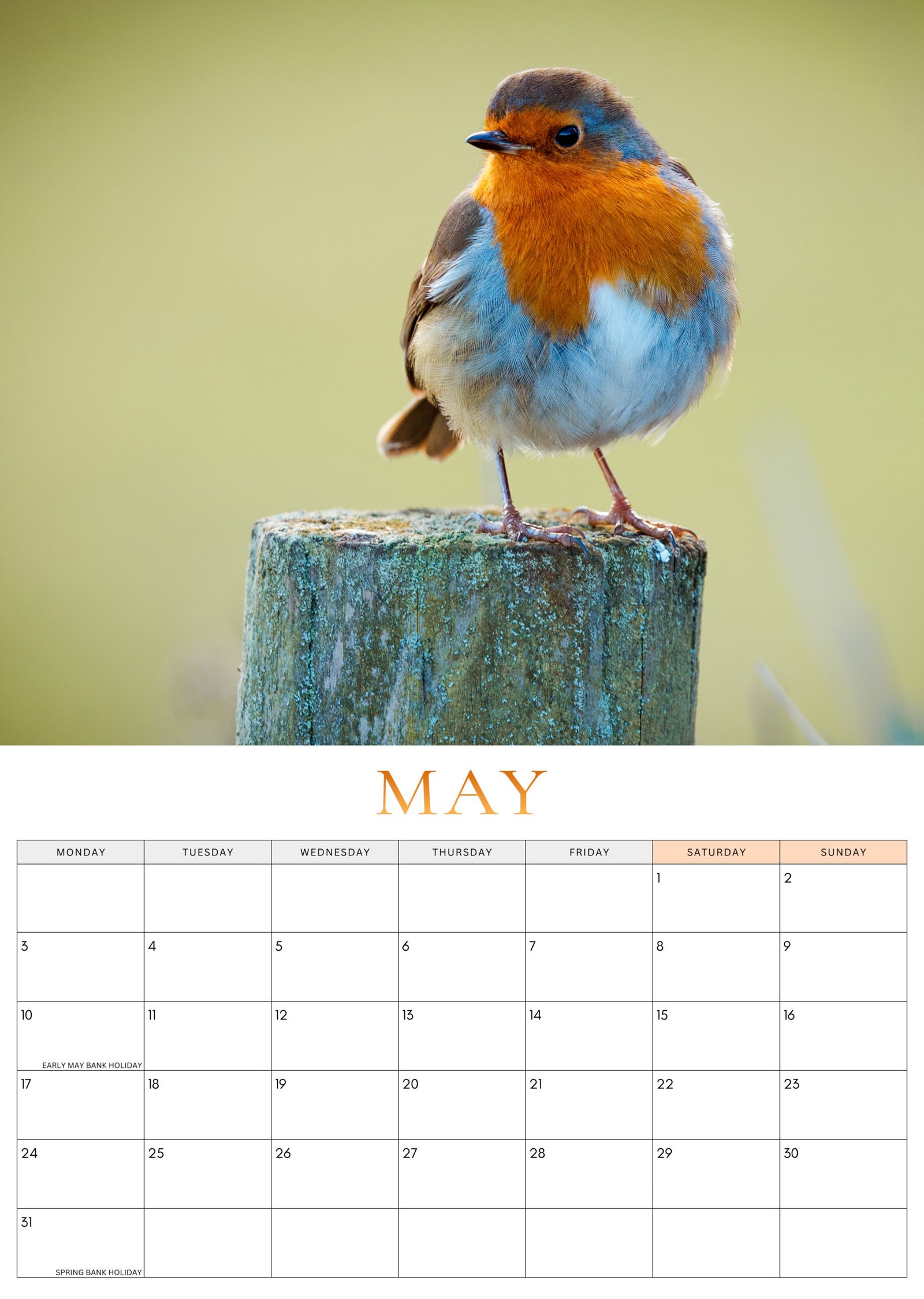 May 2027 Robin Calendar