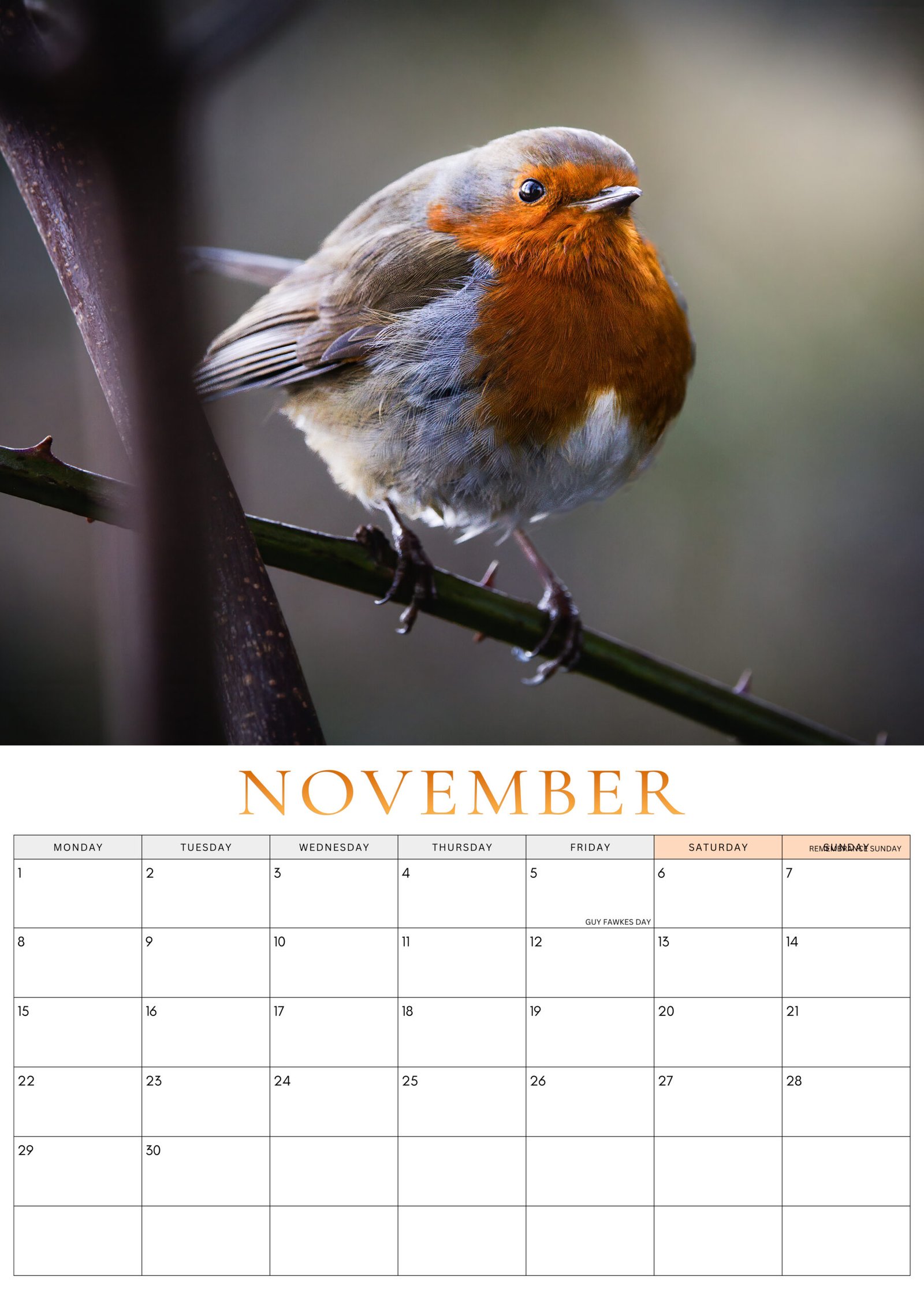 November 2027 Robin Calendar