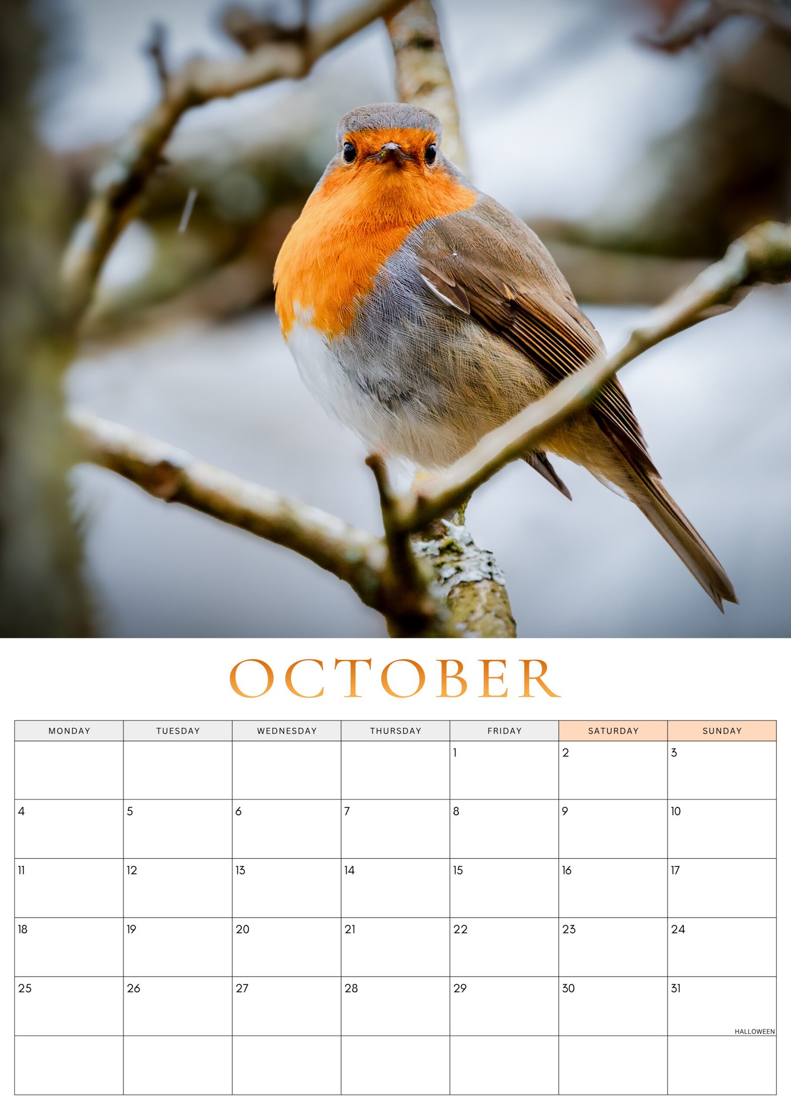 October 2027 Robin Calendar
