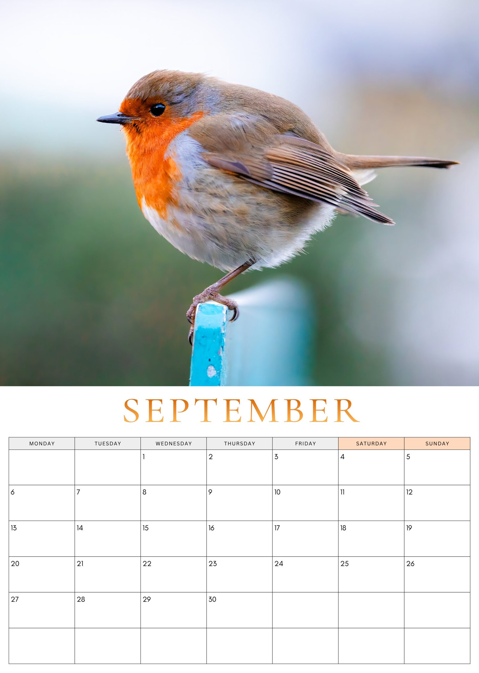 September 2027 Robin Calendar