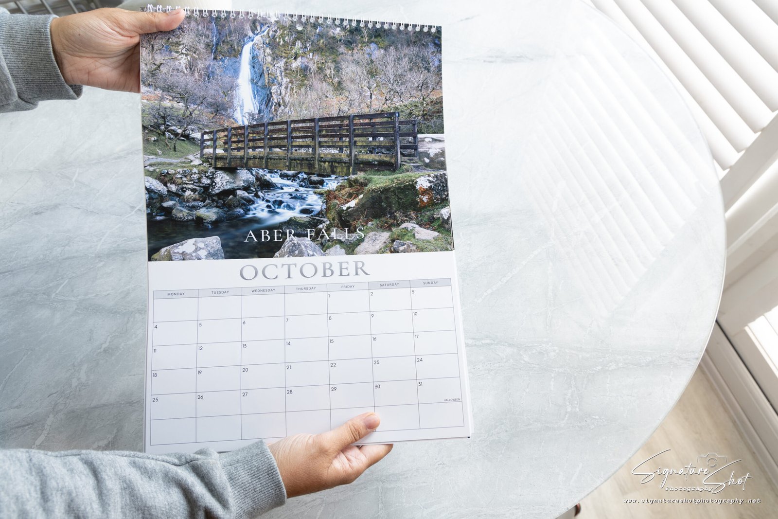 Robin calendar page turning