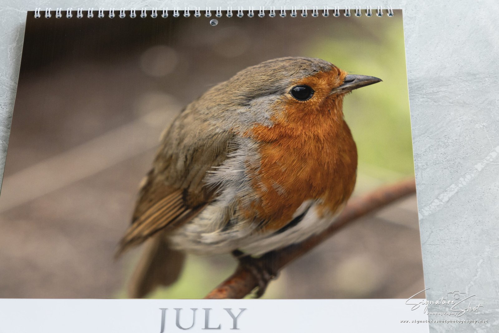 Close-up showing the gallery-quality printing of a Robin photograph