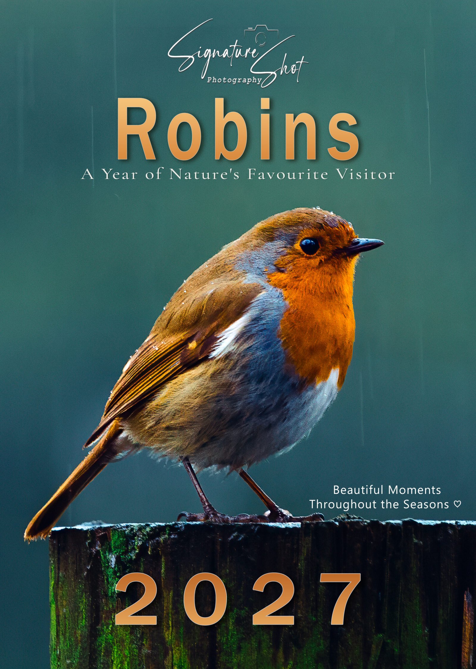 2027 Robin Photography Calendar