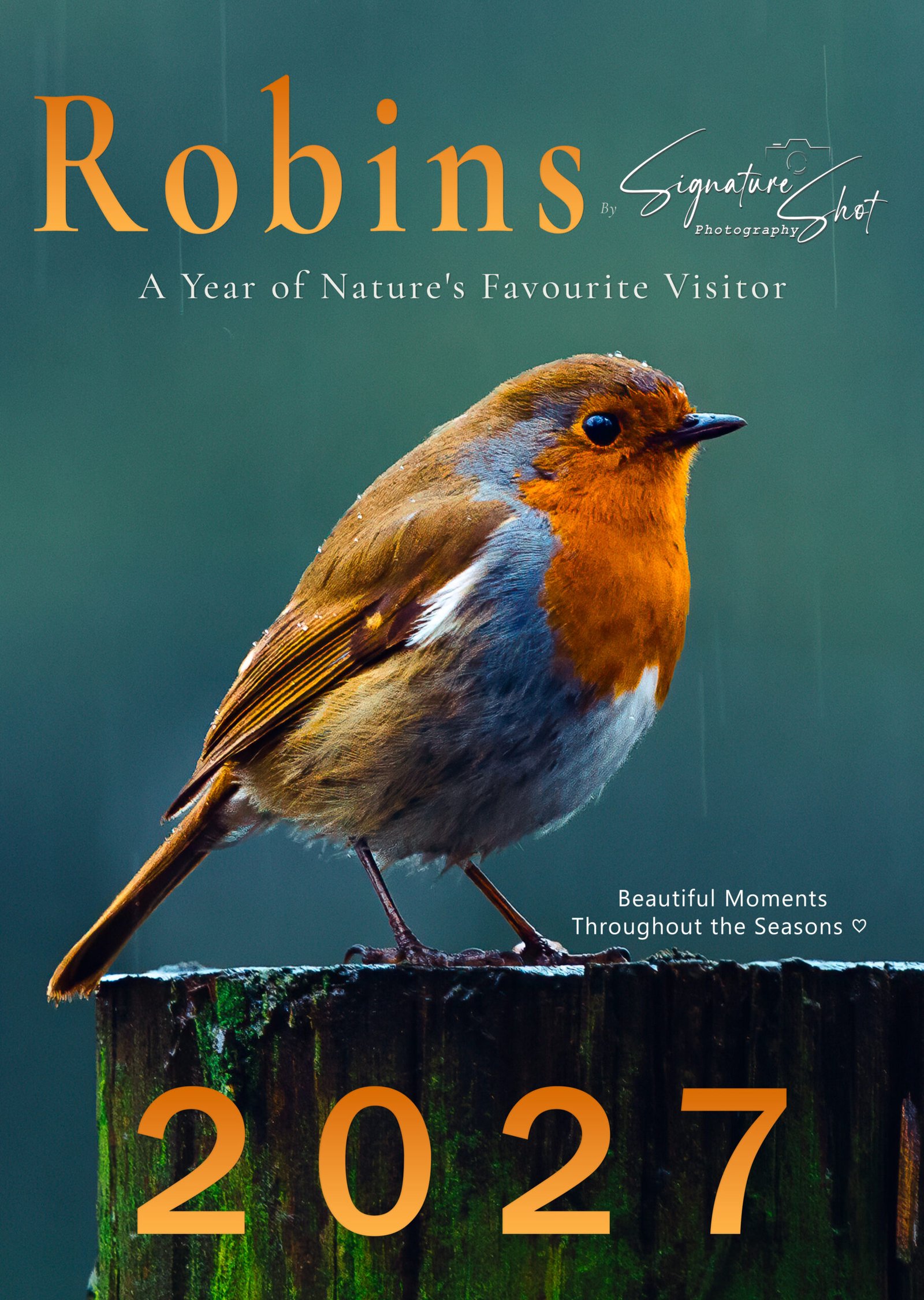 2027 Robin A3 Wall Calendar